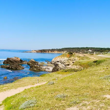 Les Bleuets - D Olonne