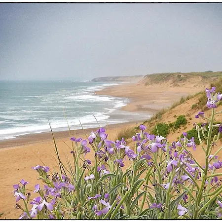 Les Bleuets - D Olonne Feriehus *